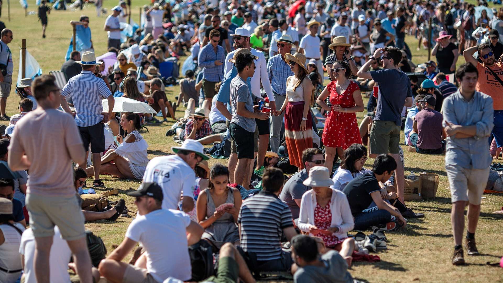 玫瑰的风采 玫瑰的风采